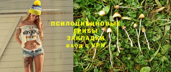 соль ск Алексин