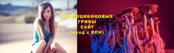 соль ск Алексин