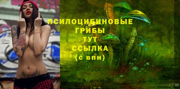 ешки Алексеевка