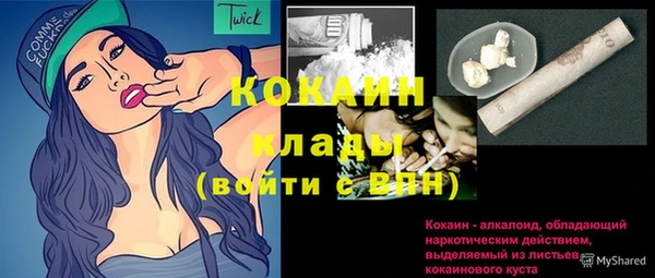 соль ск Алексин